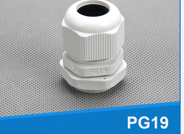 gland pbc pg19